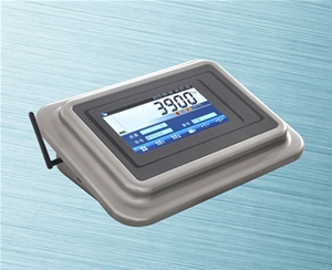 D39-W-CAN数字汽车衡仪表